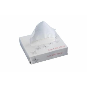 2 Ply PG Luxi Flat Pack Toilet Paper